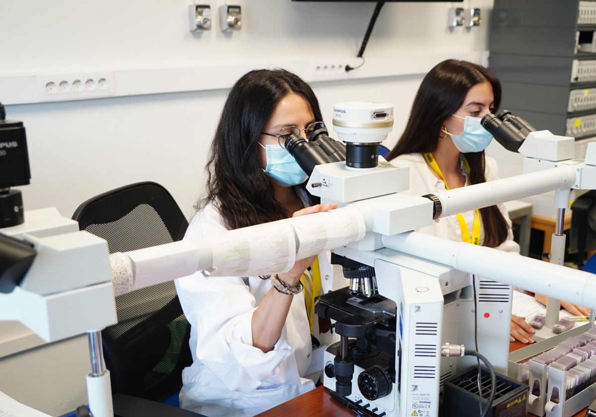 Varios MIR de Dermatología analizan muestras en el microscopio.