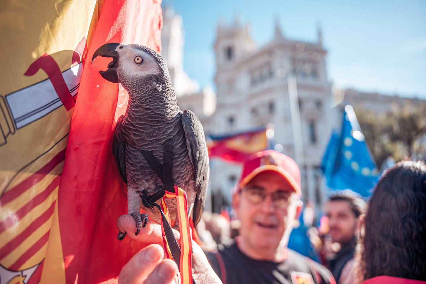 Un millón de personas se manifiestan contra la amnistía en Cibeles según los organizadores