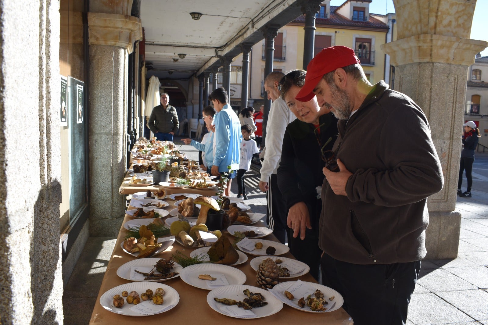 Más de 150 kilos de solidaridad en Alba de Tormes