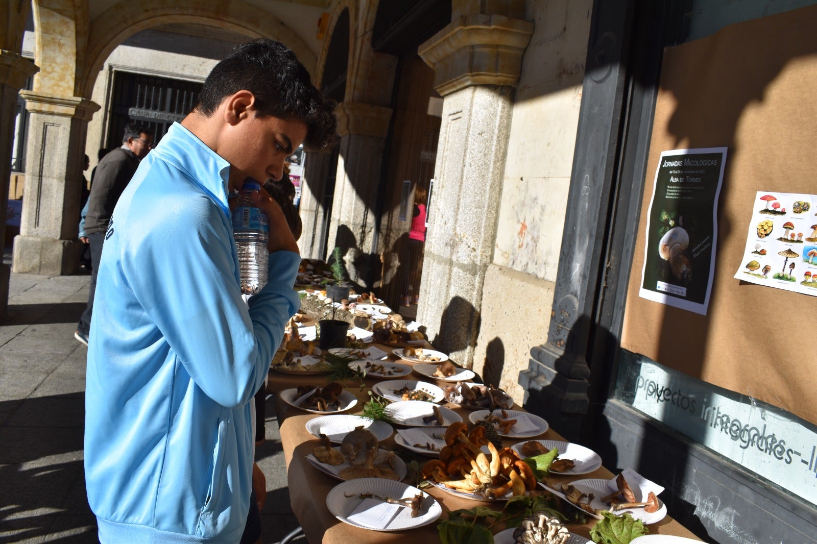 Más de 150 kilos de solidaridad en Alba de Tormes