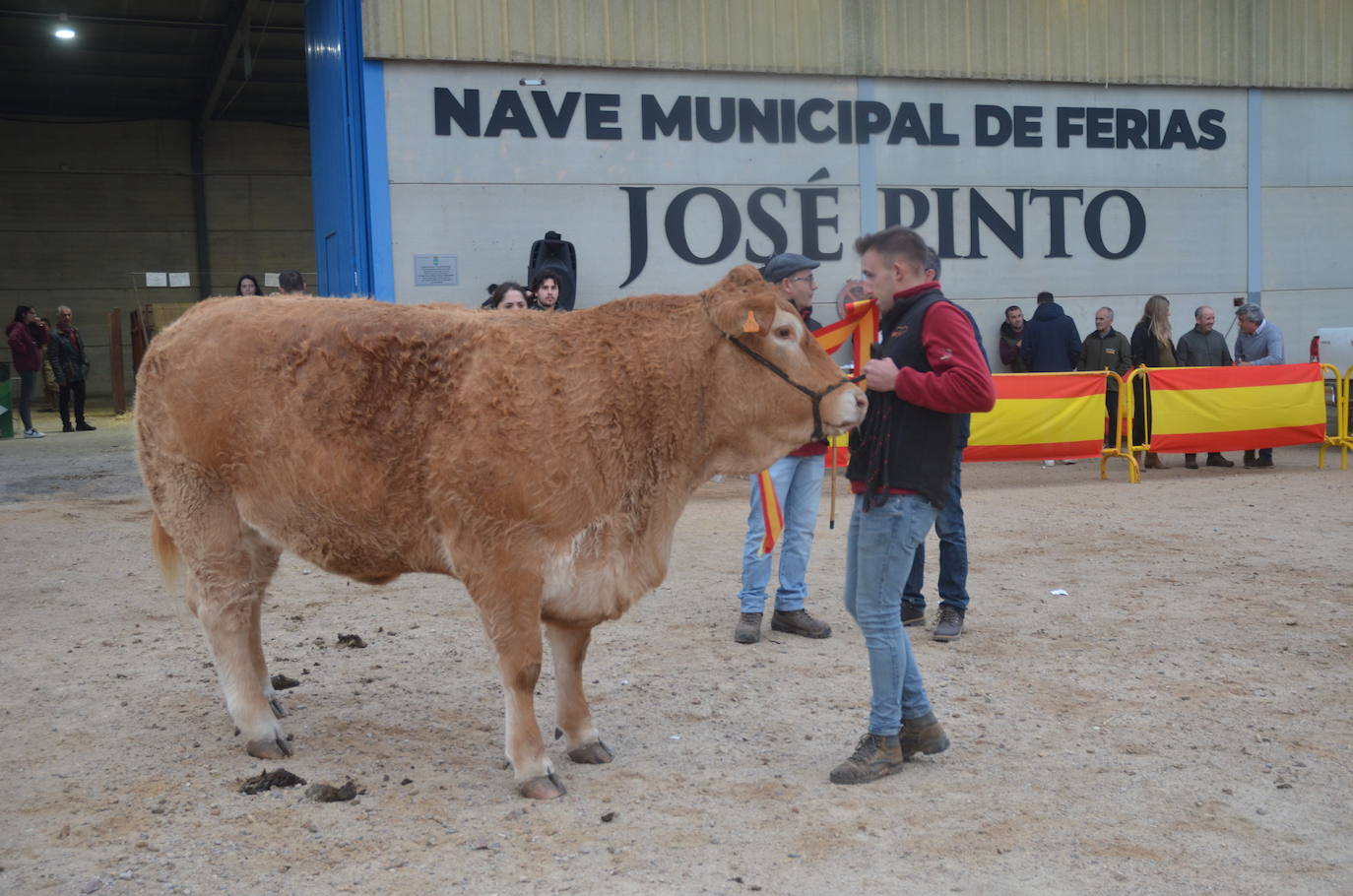 II Concurso de limusín en la Feria de San Andrés