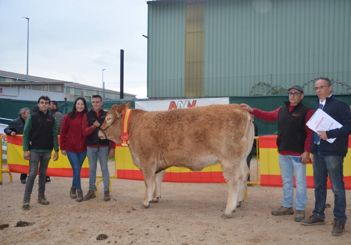 II Concurso de limusín en la Feria de San Andrés