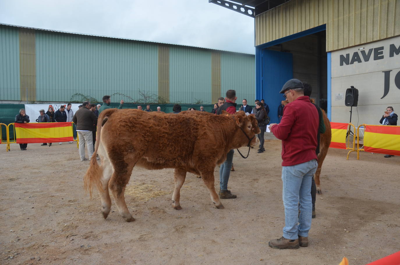 II Concurso de limusín en la Feria de San Andrés