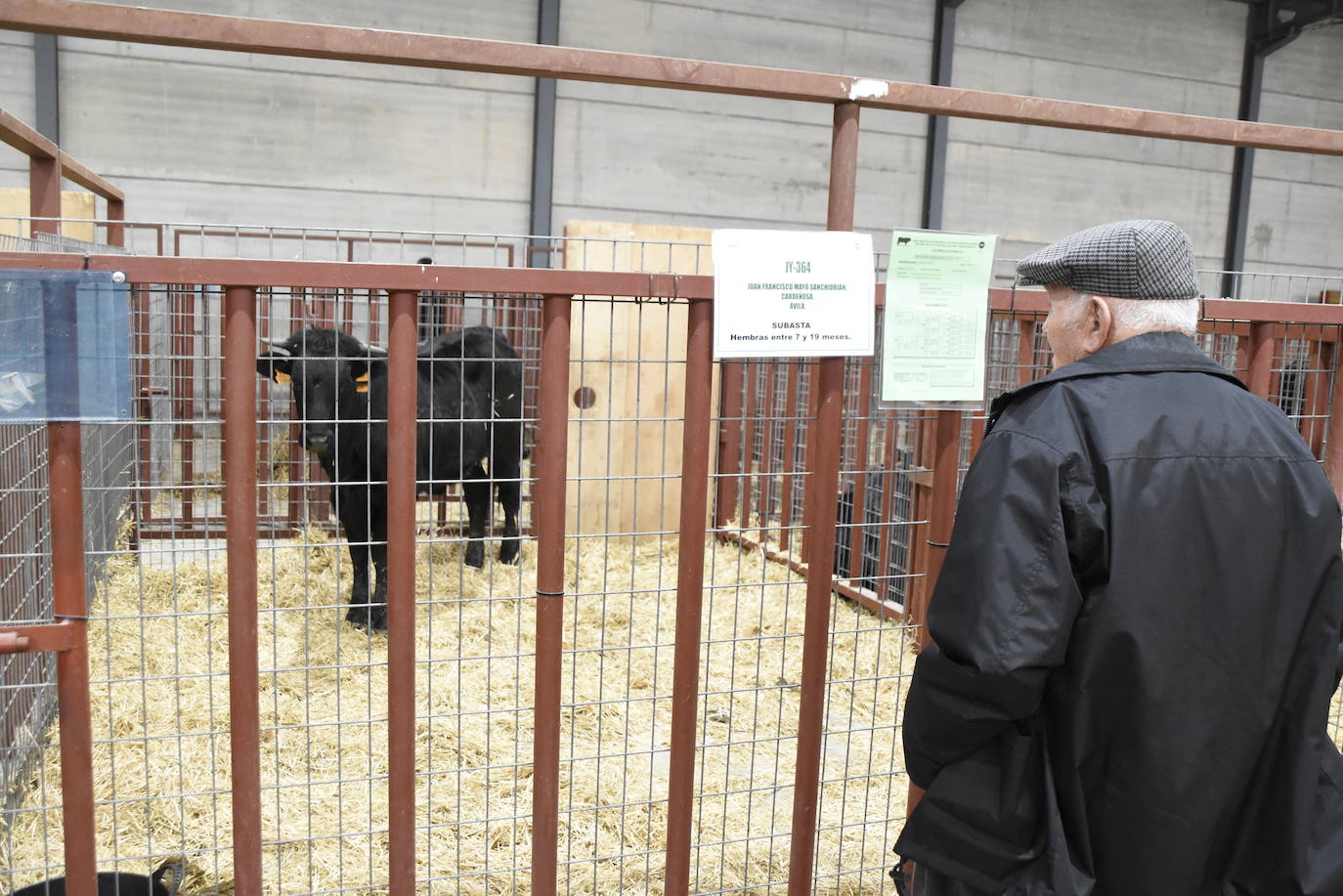 “Ciudad Rodrigo mantiene una apuesta clara por el sector primario”