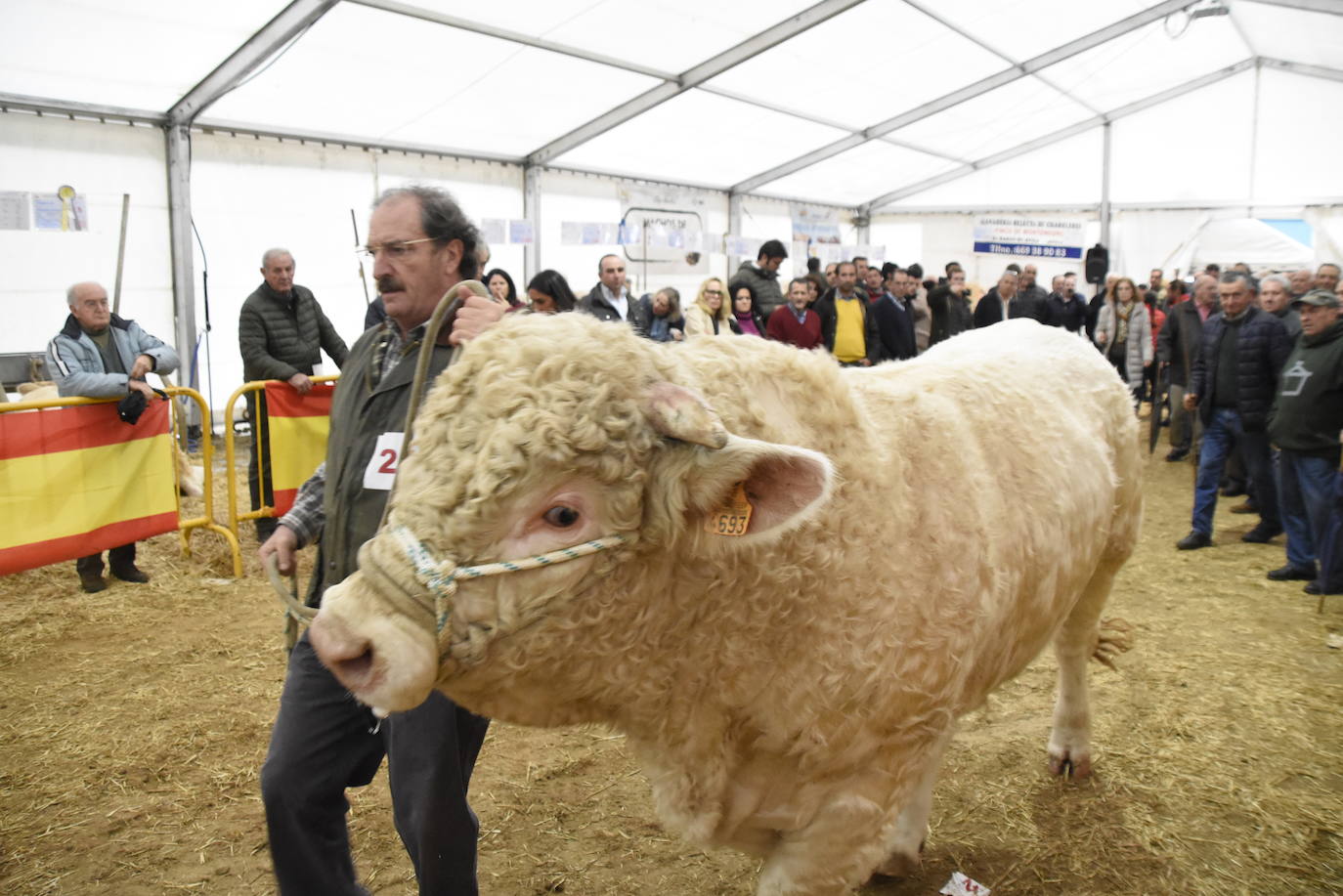 “Ciudad Rodrigo mantiene una apuesta clara por el sector primario”