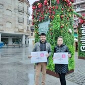 Roberto H. Garabaya y Sandra Méndez presentan la iniciativa junto al jardín vertical de la Plaza Mayor, adornado ya para las navidades.
