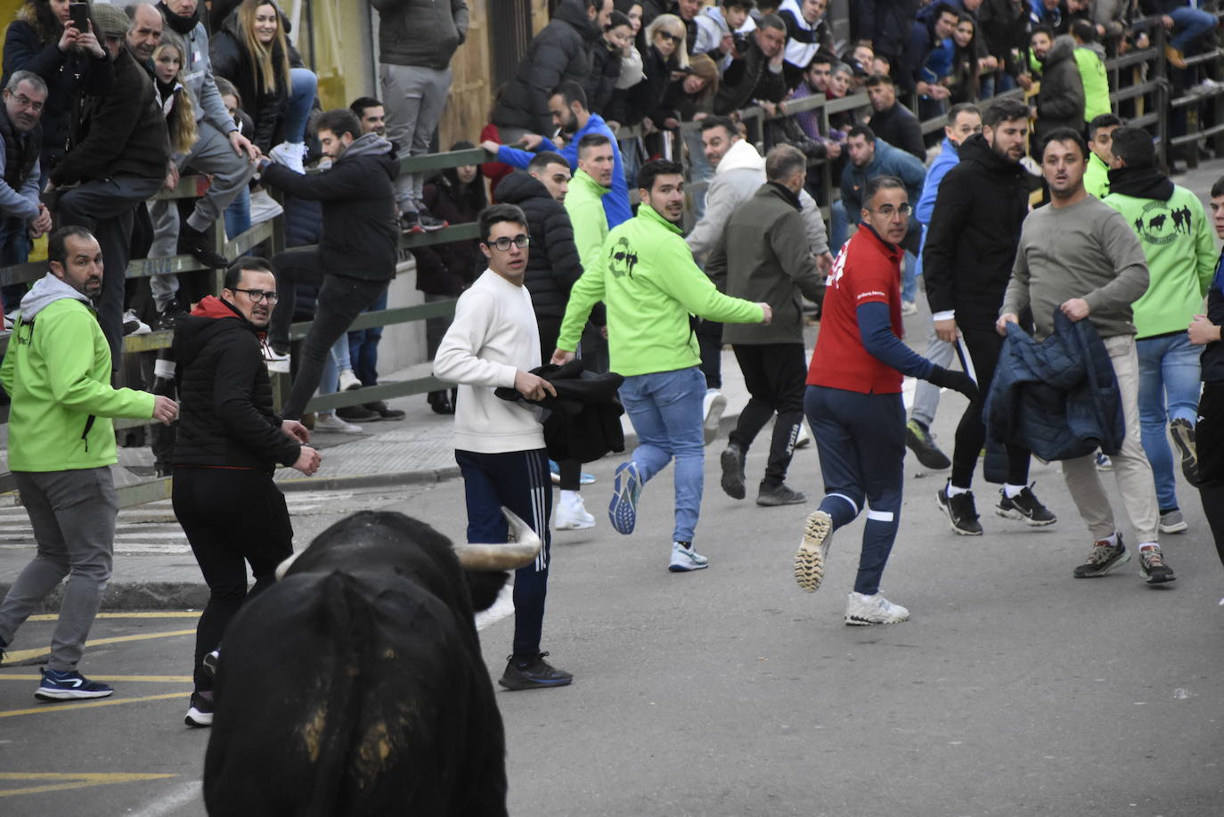 Emoción taurina en Vitigudino