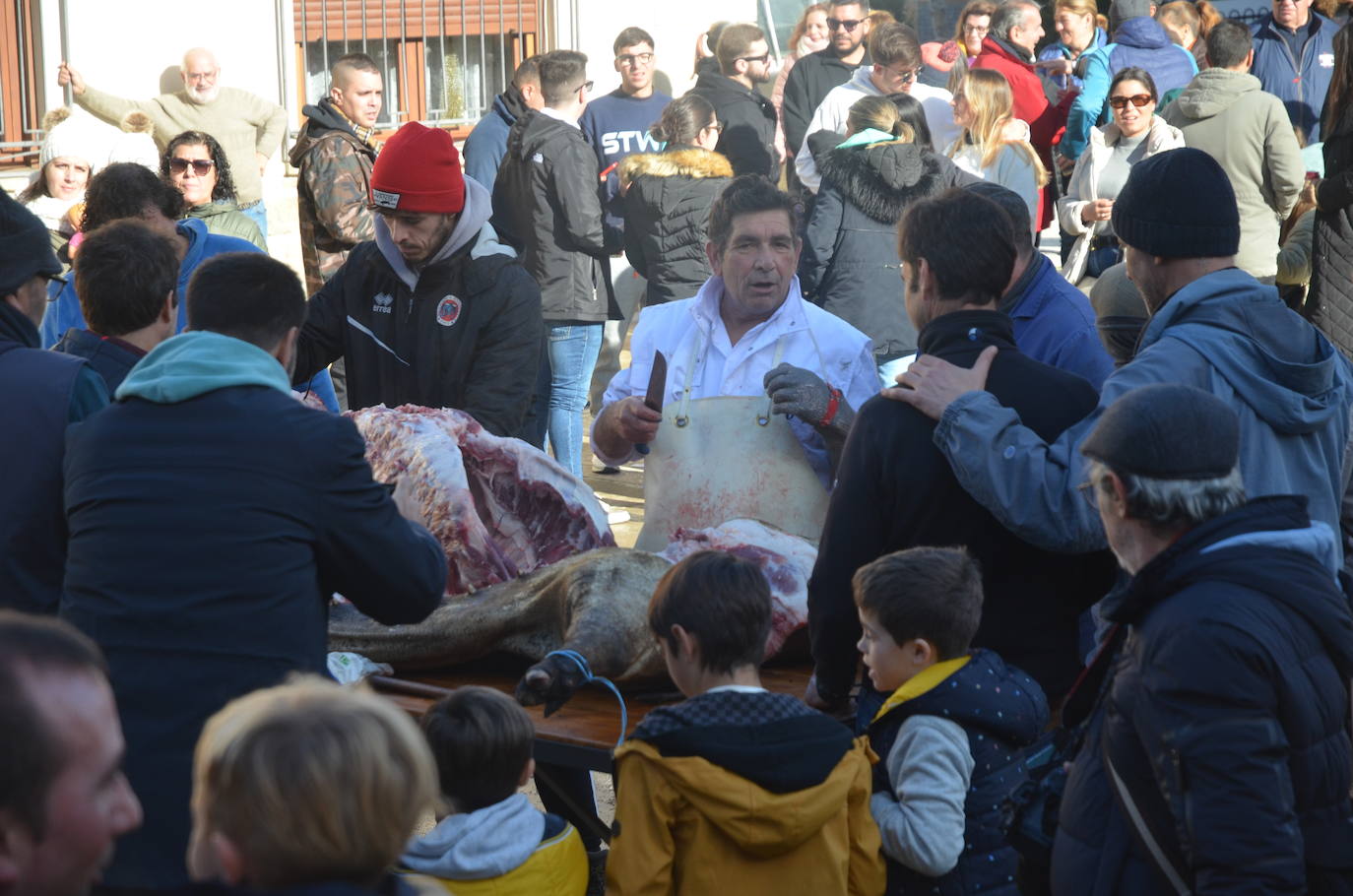 De matanza y degustaciones en Saucelle