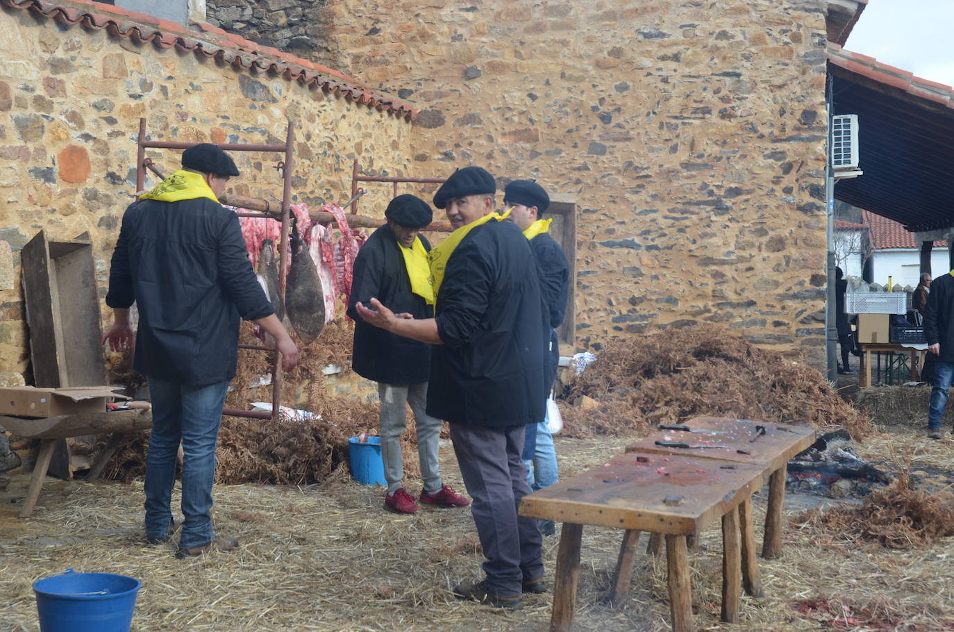 El Cabaco festeja la matanza tradicional