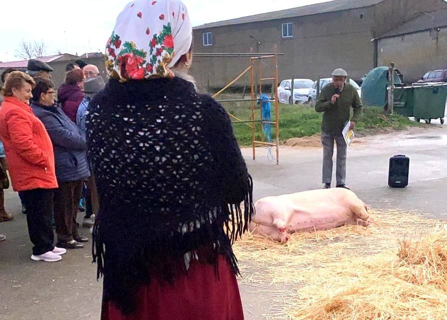 Las fotos de la matanza tradicional de Coca de Alba