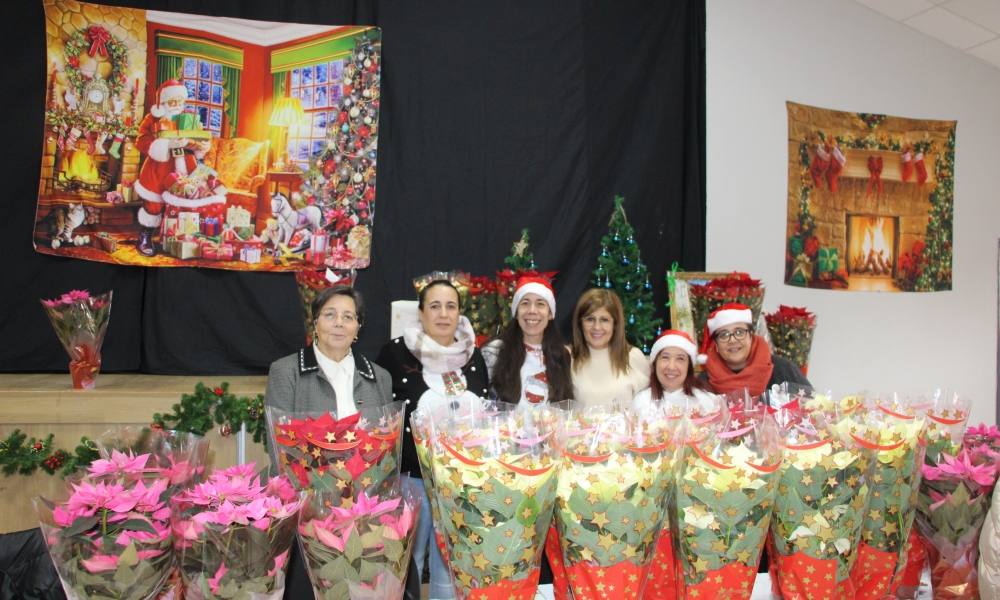 Exitoso mercadillo solidario de Babilafuente