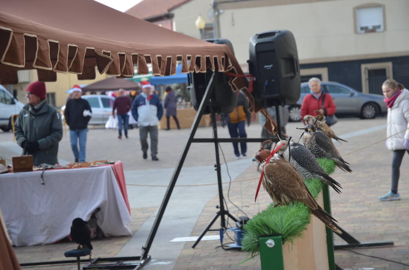 La Fuente de San Esteban celebra su primer mercado navideño