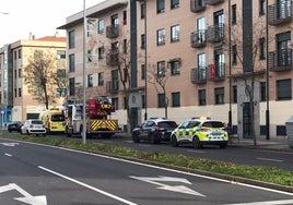 Una ambulancia del Sacyl, los bomberos y la Policía Local y Nacional en el rescate de la señora en Puente Ladrillo.