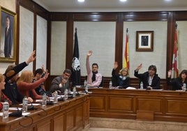 Los concejales de PP y Vox votaron ayer en contra de la retirada de las asignaciones aprobada por PSOE, Tú Aportas y la edil no adscrita, Araceli Dorado.