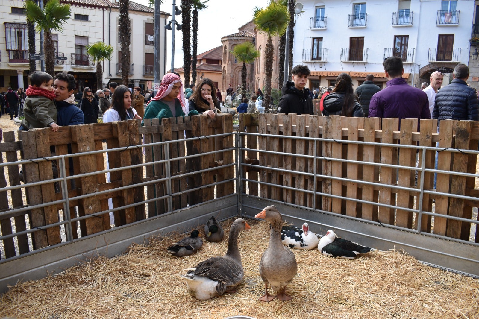 La Plaza Mayor de Alba de Tormes convertida en Belén después de más de quince años