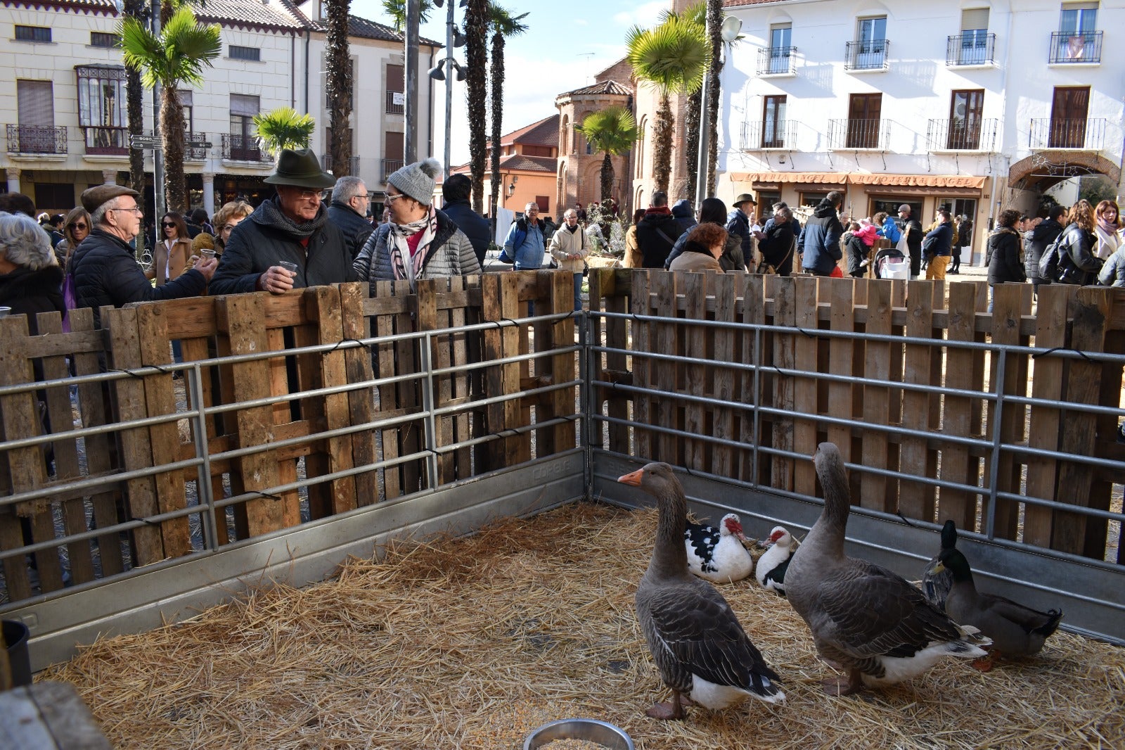 La Plaza Mayor de Alba de Tormes convertida en Belén después de más de quince años