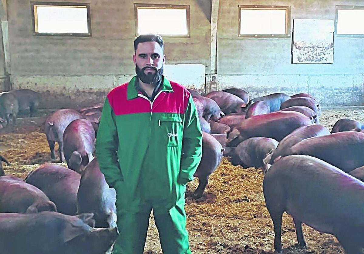 Roberto, en una nave cn los cerdos, que tienen salida al exterior y duermen sobre paja.