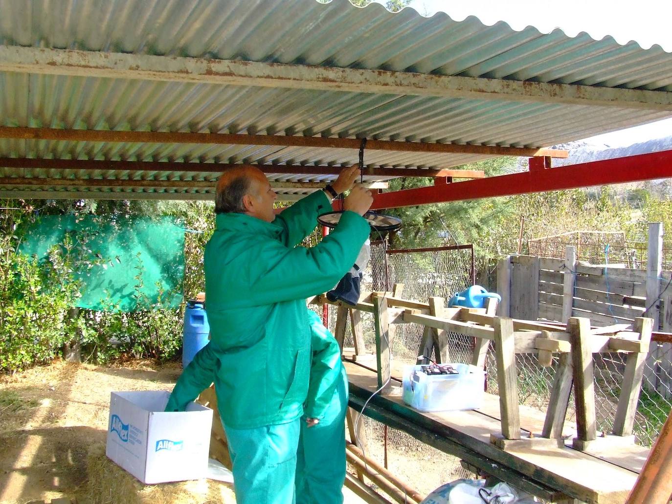 Trampa de mosquitos para vigilar la lengua azul.