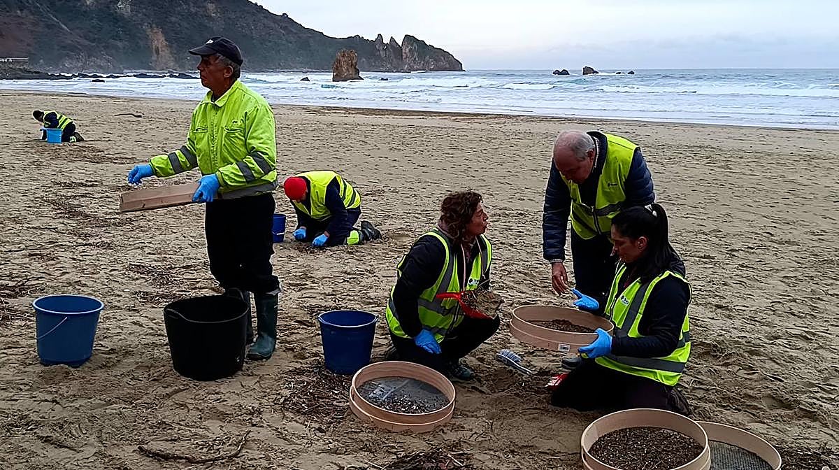 Con cedazo y colador: así es la laboriosa recogida de pellets en las playas asturianas