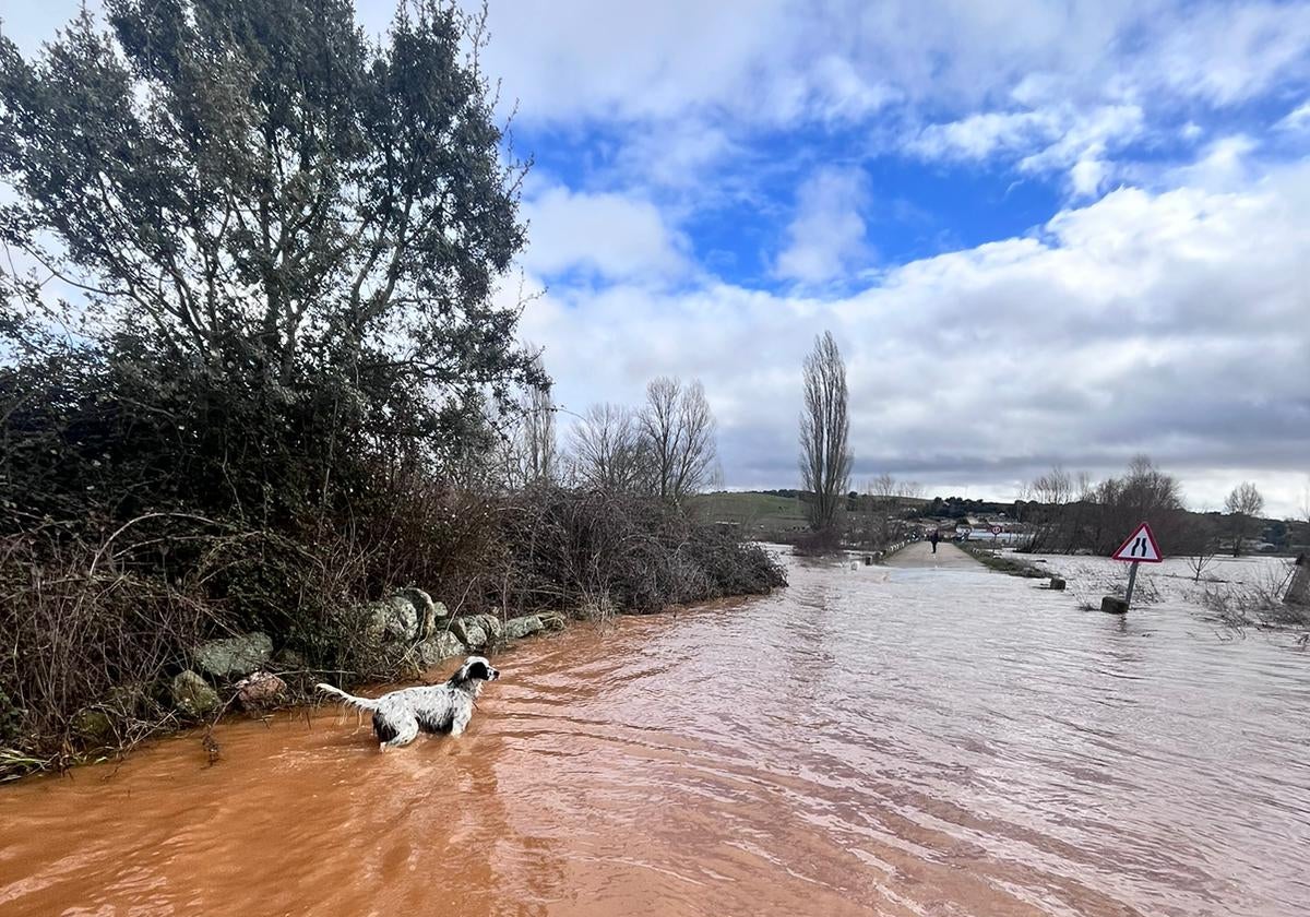 Once horas con el acceso a Vega de Tirados por la DSA-522 bloqueado por las inundaciones