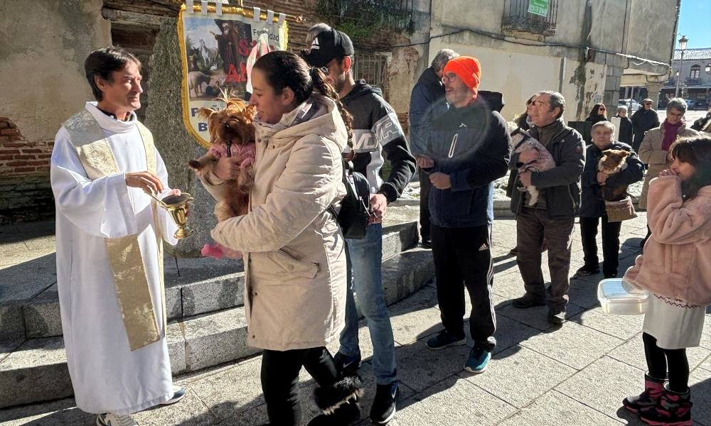 Bendición canina por San Antón en Peñaranda