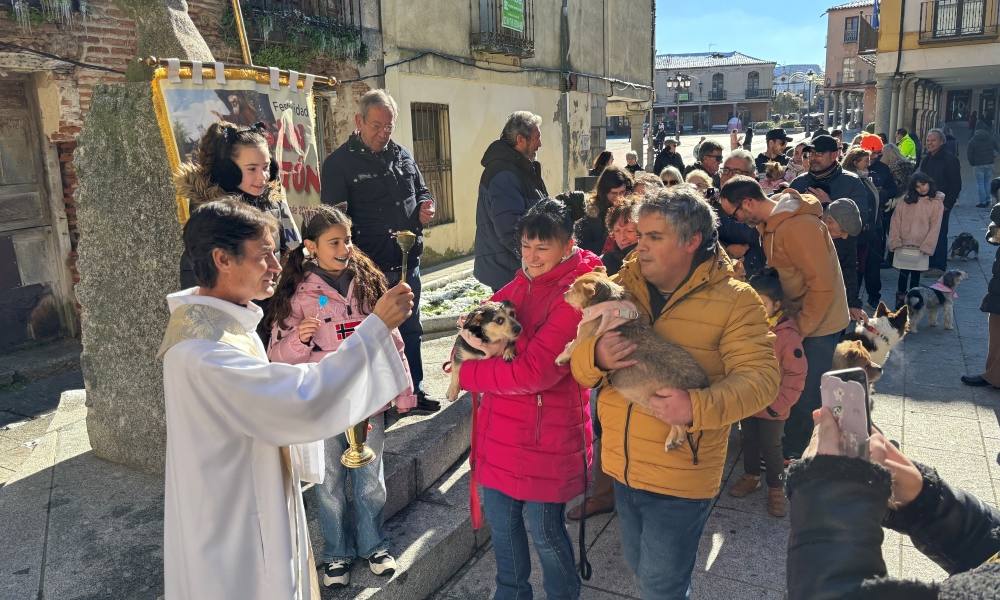 Bendición canina por San Antón en Peñaranda