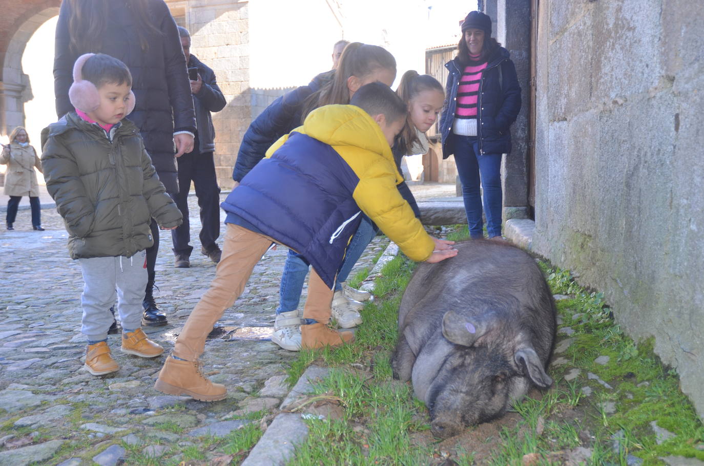 El marrano de San Antón se despide en La Alberca