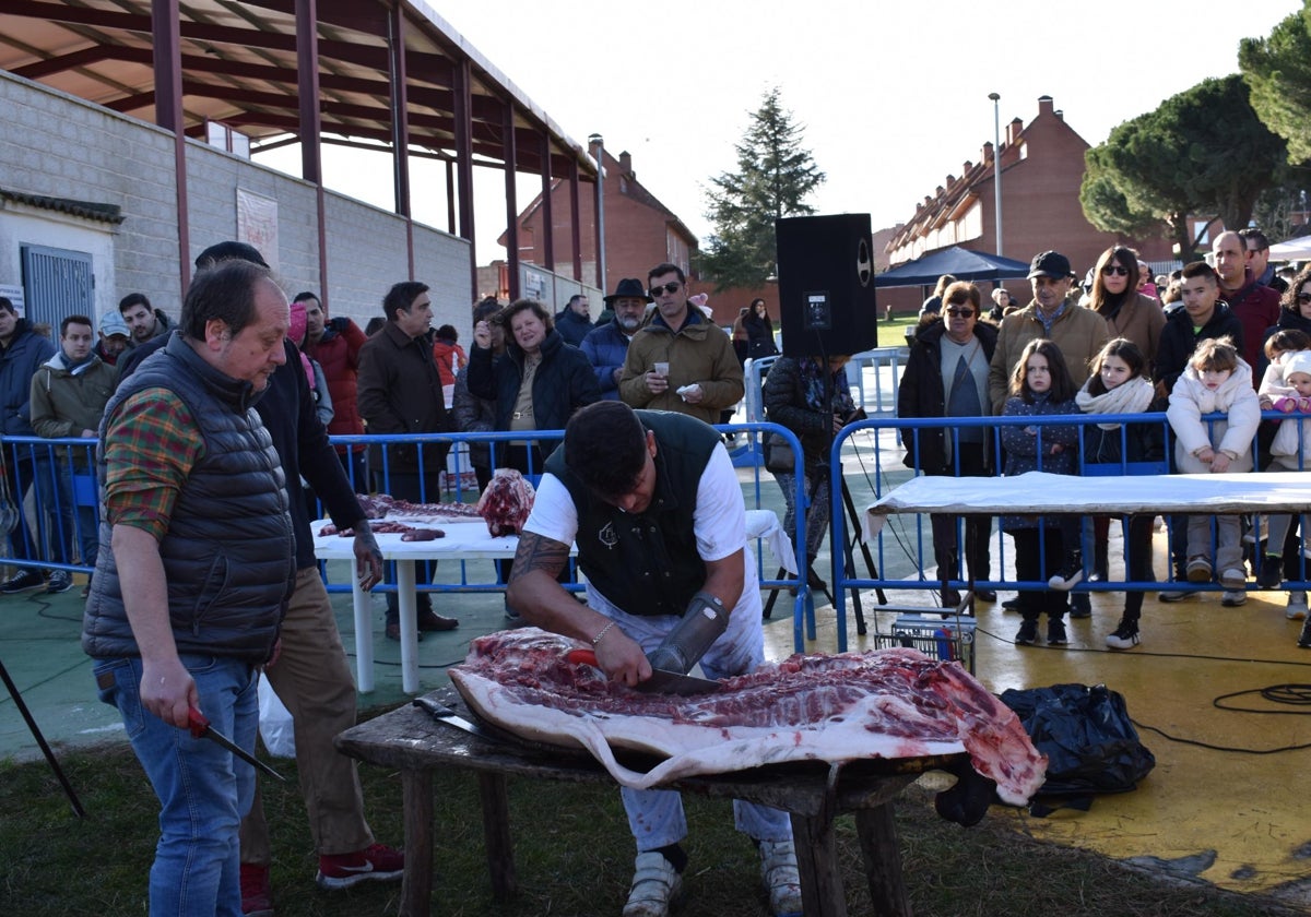 Tradición y convivencia en la matanza de Carrascal de Barregas