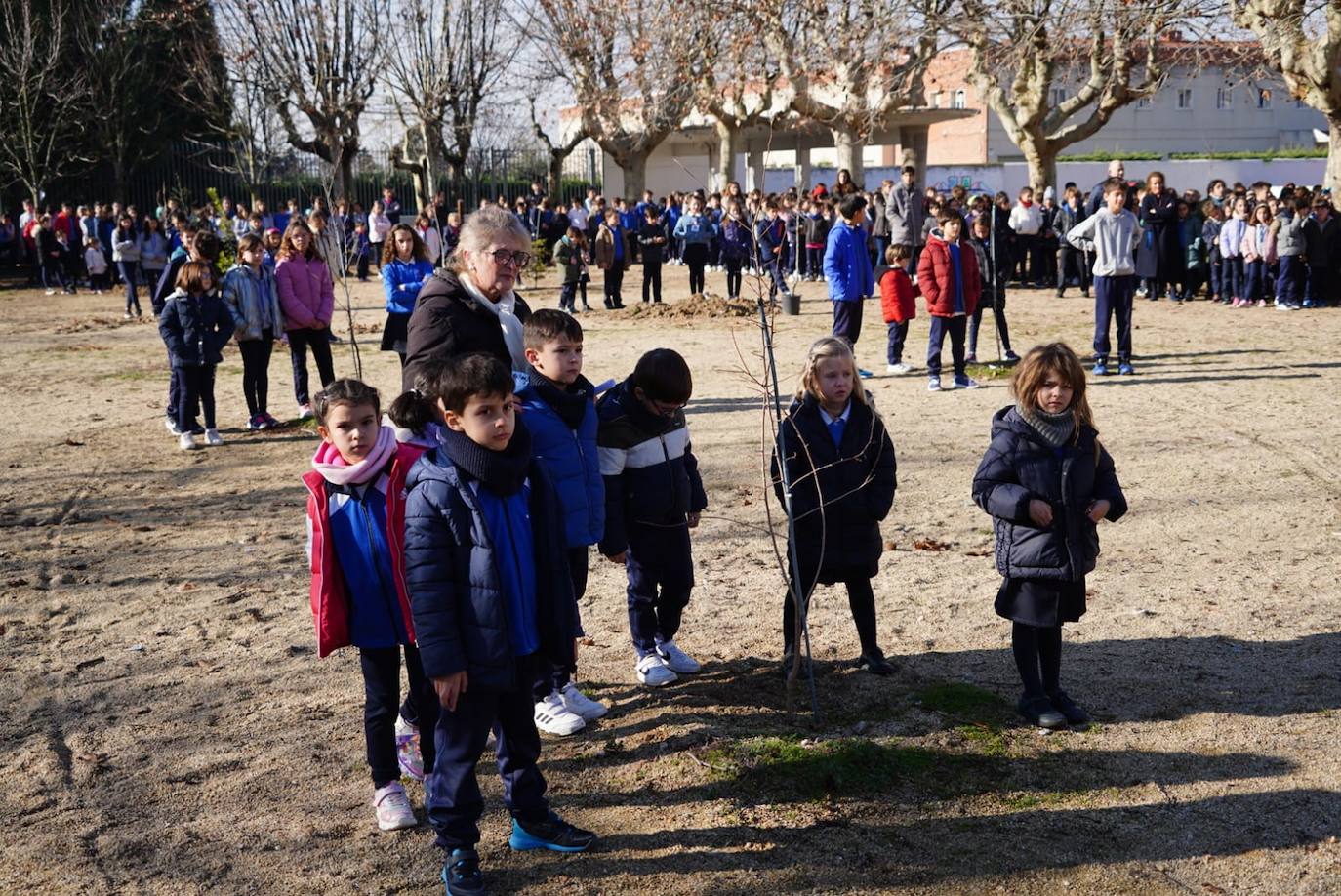 Los niños del Colegio Marista Champagnat plantan árboles dentro del proyecto &#039;Patios por el Clima&#039;