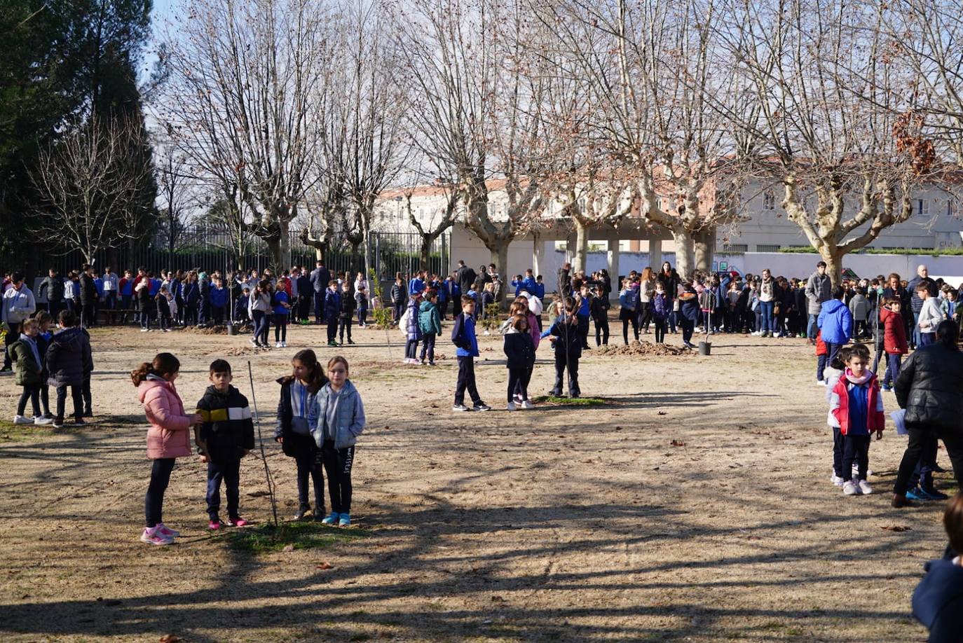 Los niños del Colegio Marista Champagnat plantan árboles dentro del proyecto &#039;Patios por el Clima&#039;