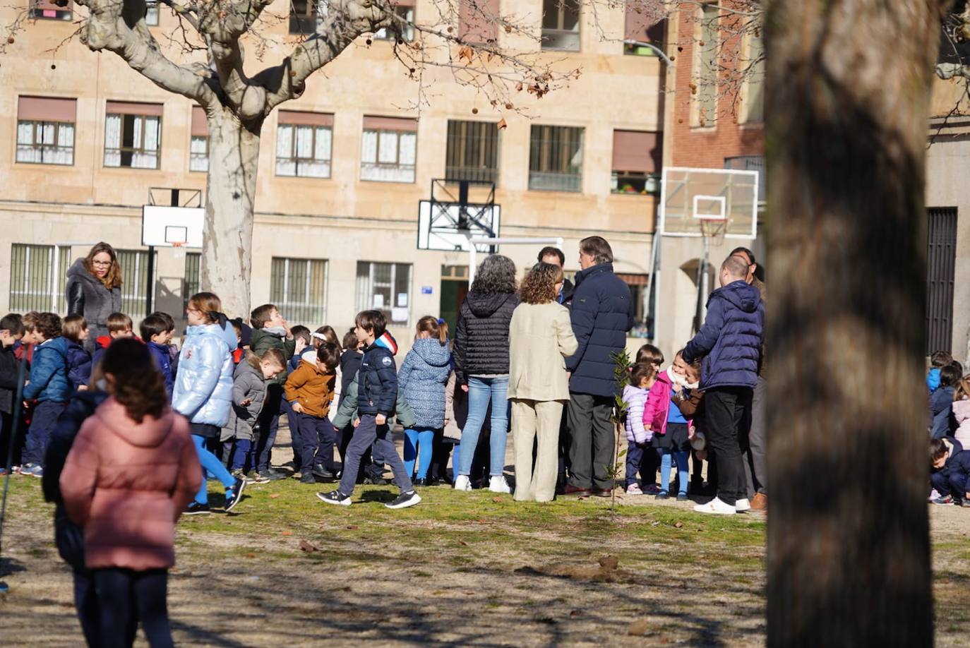 Los niños del Colegio Marista Champagnat plantan árboles dentro del proyecto &#039;Patios por el Clima&#039;