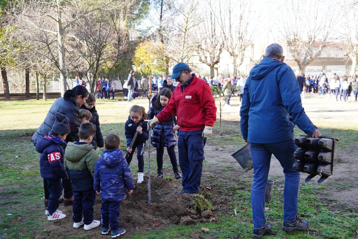 Los niños del Colegio Marista Champagnat plantan árboles dentro del proyecto &#039;Patios por el Clima&#039;