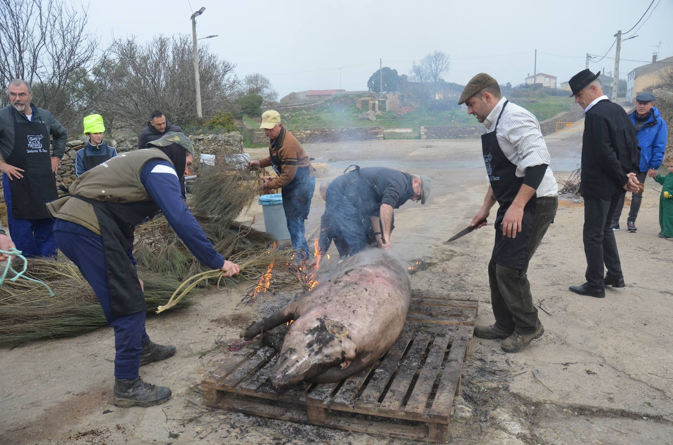 Cita ineludible con la Fiesta de la Matanza Tradicional en Saelices el Chico