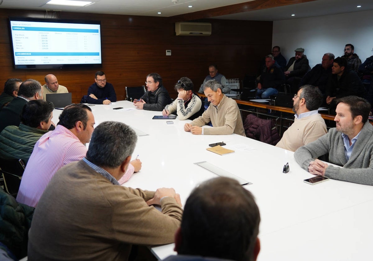 Debate en la mesa del cereal en la Lonja.