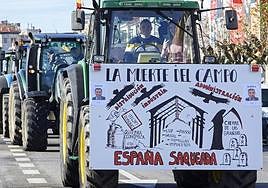¿Tienen motivos los agricultores y ganaderos para manifestarse?