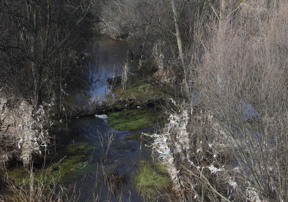 ¿Considera un problema la basura arrastrada por el río Tormes?