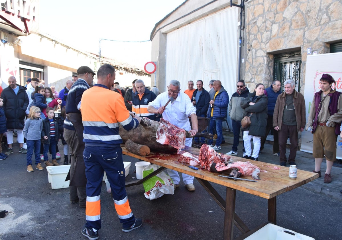 Castellanos celebró su tradicional matanza de dos cerdos de 200 kilos