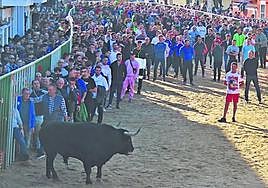 Un Cebada Gago pone la emoción en las fiestas de San Blas de Babilafuente