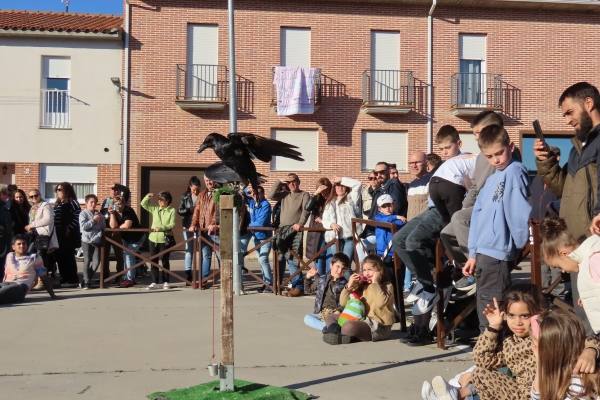 Babilafuente conoce aves rapaces de todo el mundo en directo