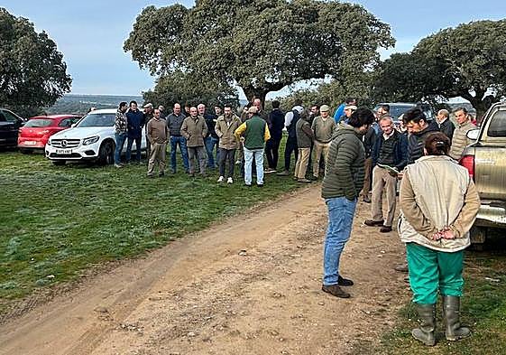 Los ganaderos intensifican las protestas y paralizan los saneamientos