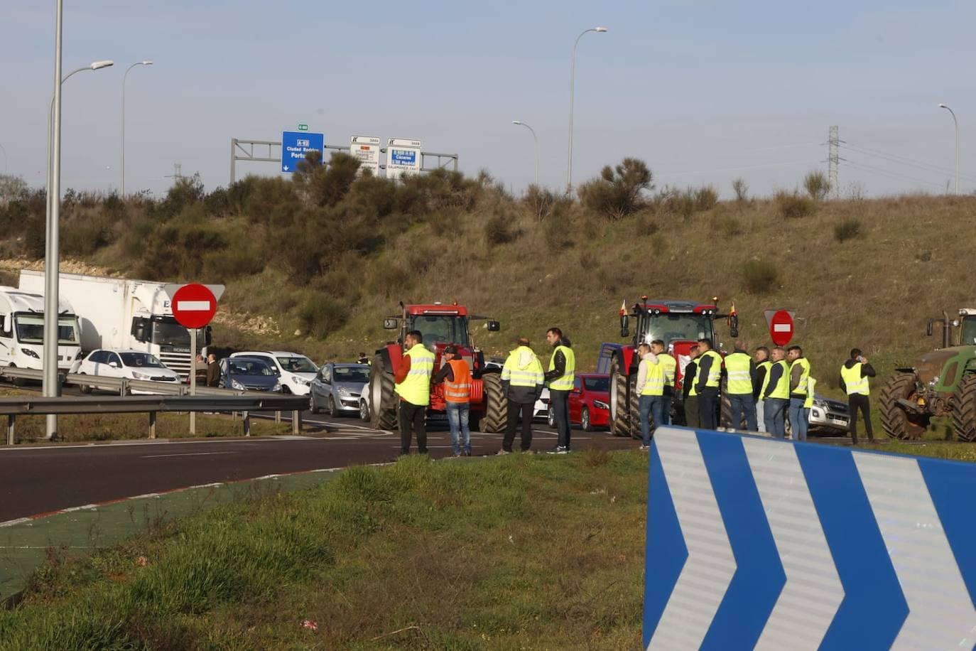 Las protestas de los agricultores y ganaderos por las calles de Salamanca, en imágenes