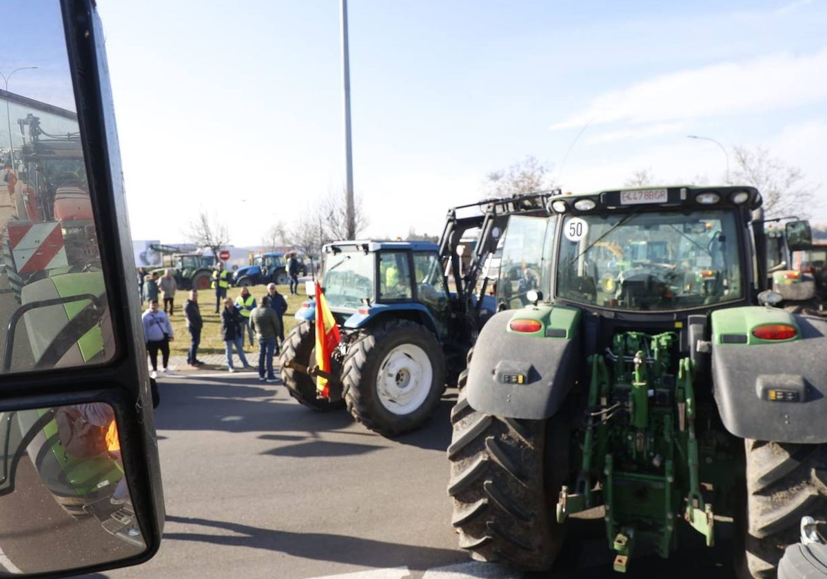 Las protestas de los agricultores y ganaderos por las calles de Salamanca, en imágenes