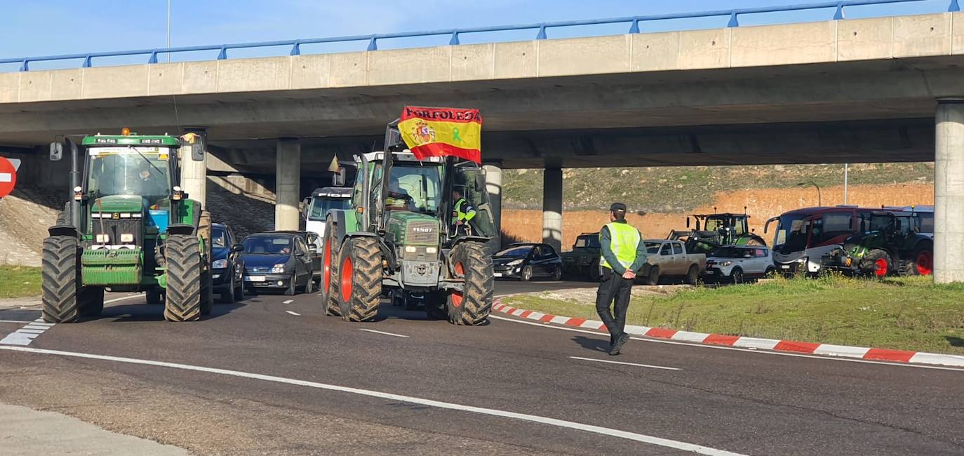 Las protestas de los agricultores y ganaderos por las calles de Salamanca, en imágenes