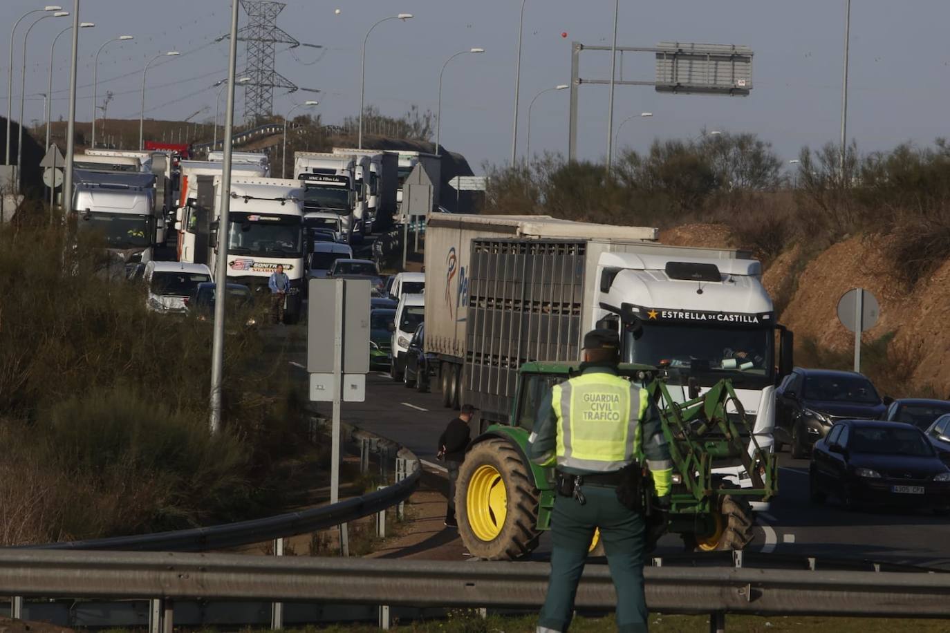 Las protestas de los agricultores y ganaderos por las calles de Salamanca, en imágenes