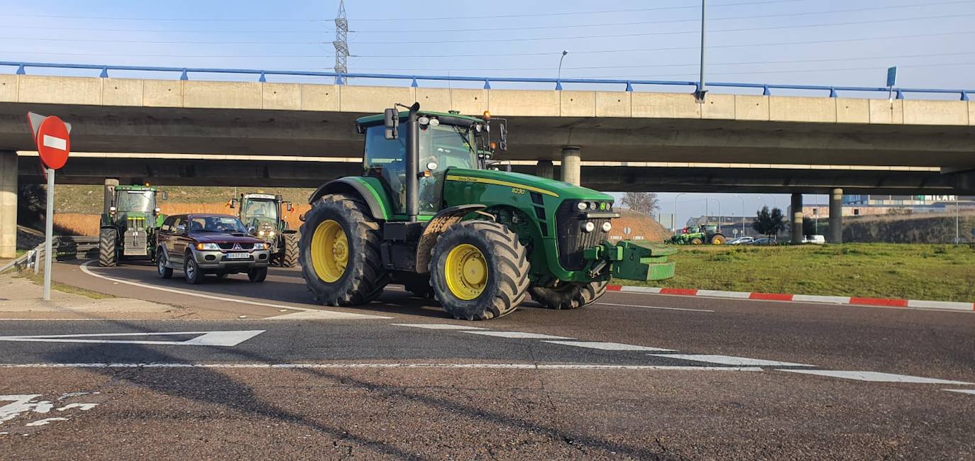 Las protestas de los agricultores y ganaderos por las calles de Salamanca, en imágenes