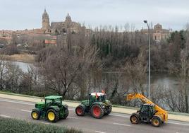 Manifestantes agrícolas en Salamanca este jueves