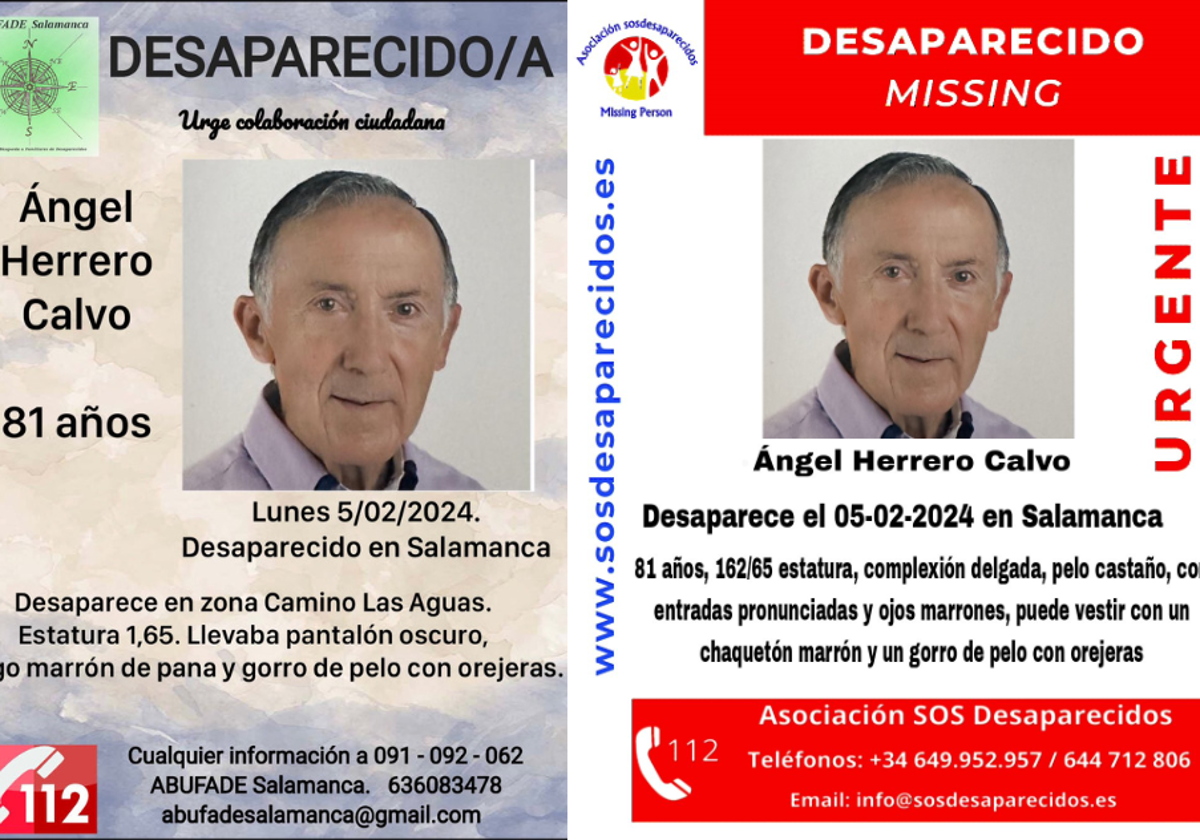 Dos carteles del desaparecido.