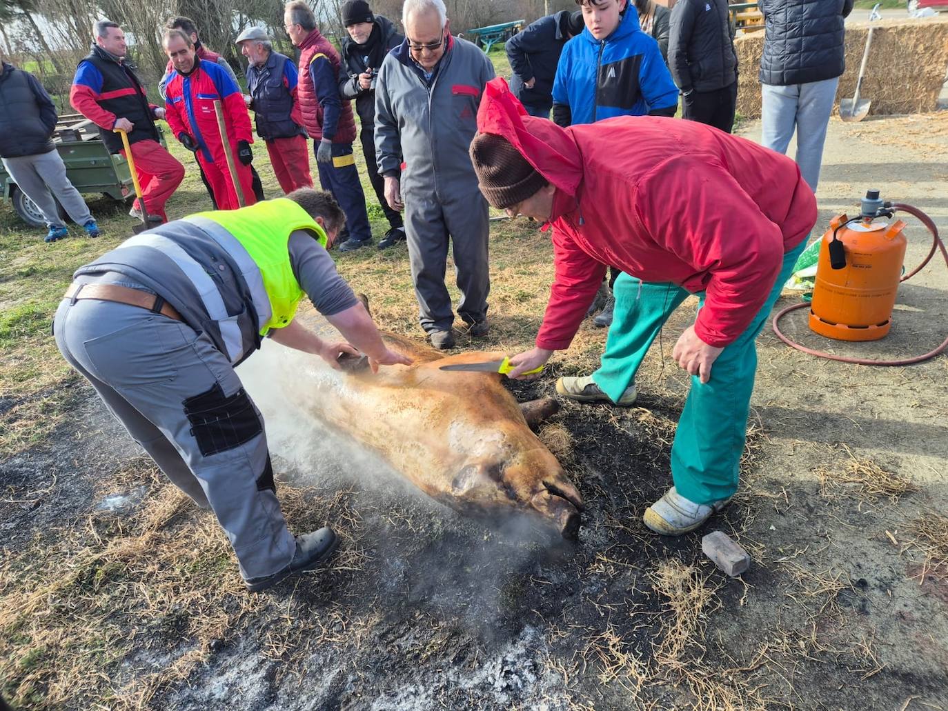 Degustaciones y demostraciones en la fiesta de la matanza de Rágama