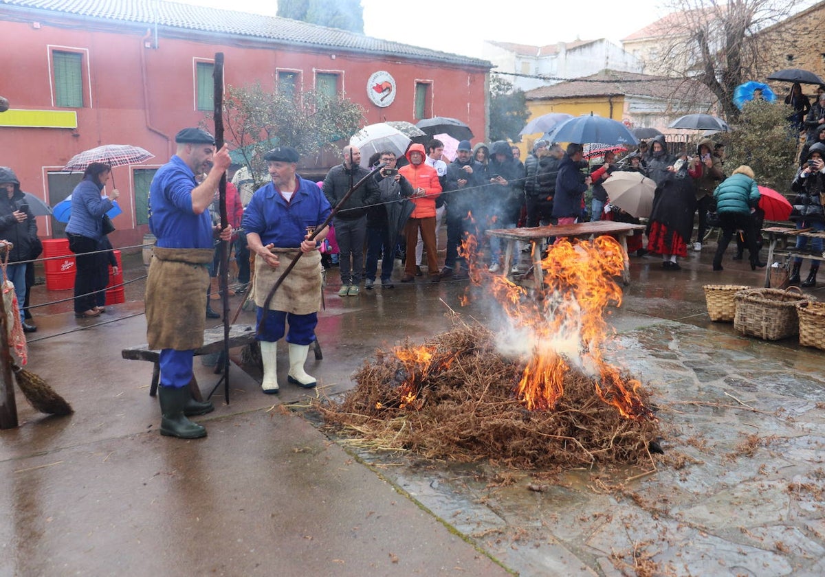 Guijuelo buscará la declaración de Fiesta de Interés Turístico Nacional de su Matanza Tradicional