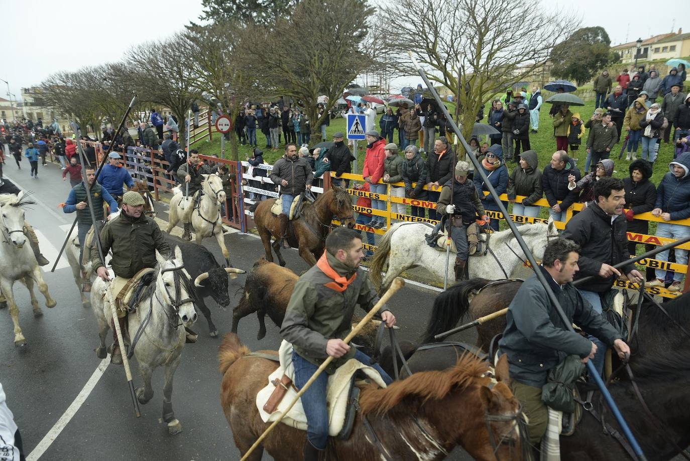 Rápido y vistoso encierro a caballo del Carnaval del Toro